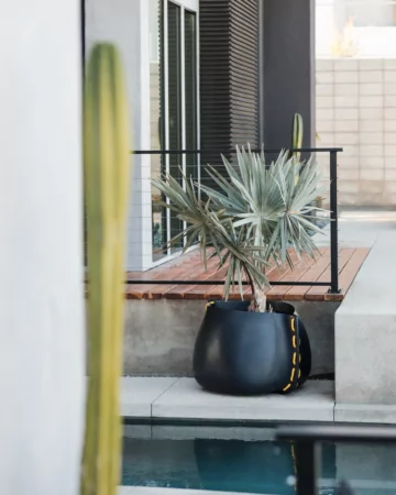 Stitch 75 Planter - Starfire